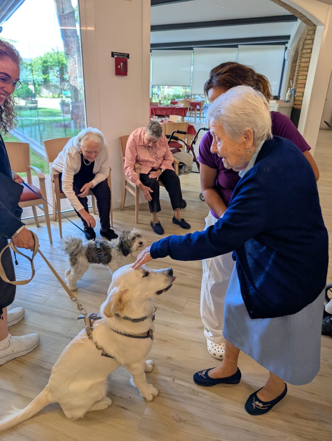 WhatsApp Image 2025-09-26 at 20.53.29 (2)